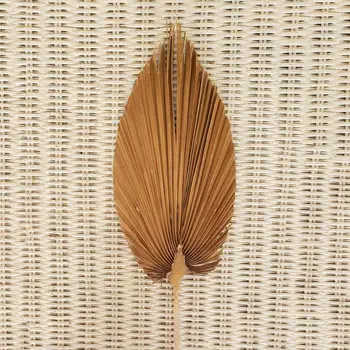 10stk Naturlige Tørrede Blomster Palm Leaf DIY Tørre Blomster Tørrede Blade Hjem bryllupsfest Soveværelse Dekoration Kunst vægtæppe