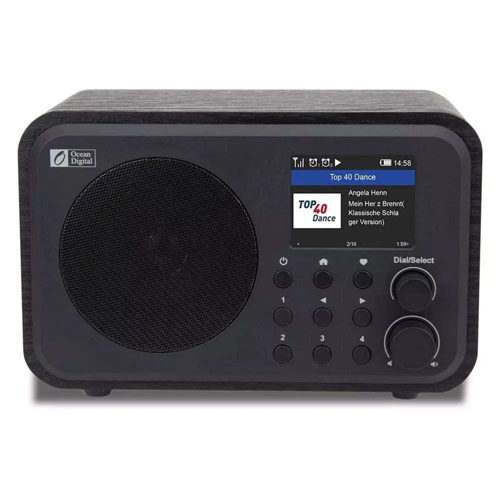 Trådløst Internet Radioer WR-336N Bærbar Digital Radio med Genopladeligt Batteri, Bluetooth-Modtager 0