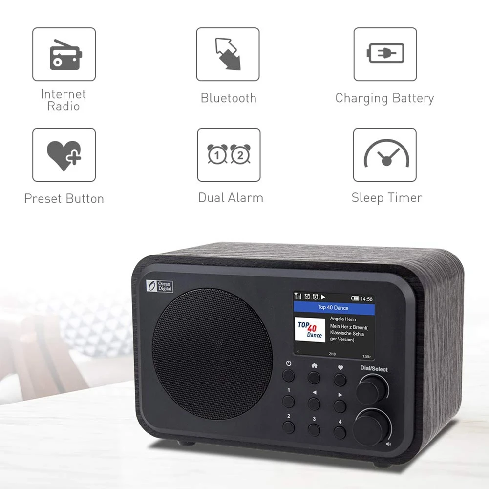 Trådløst Internet Radioer WR-336N Bærbar Digital Radio med Genopladeligt Batteri, Bluetooth-Modtager 2
