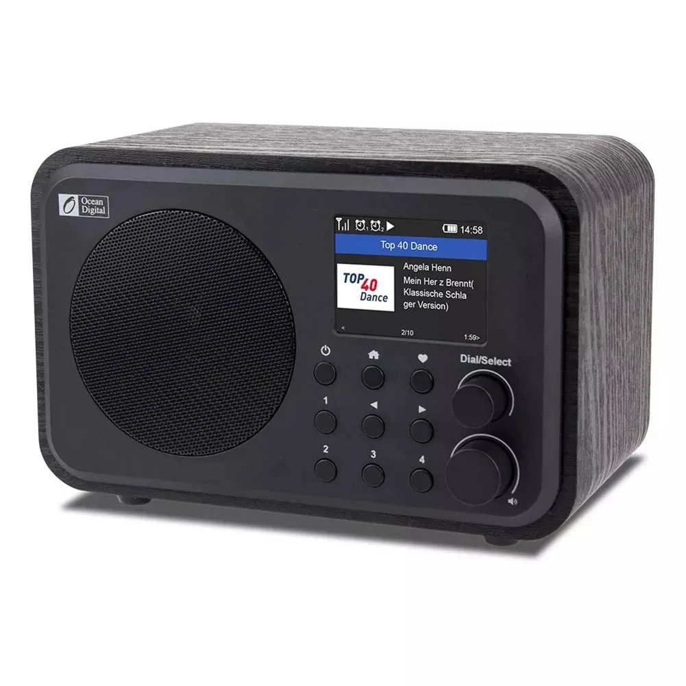 Trådløst Internet Radioer WR-336N Bærbar Digital Radio med Genopladeligt Batteri, Bluetooth-Modtager 5