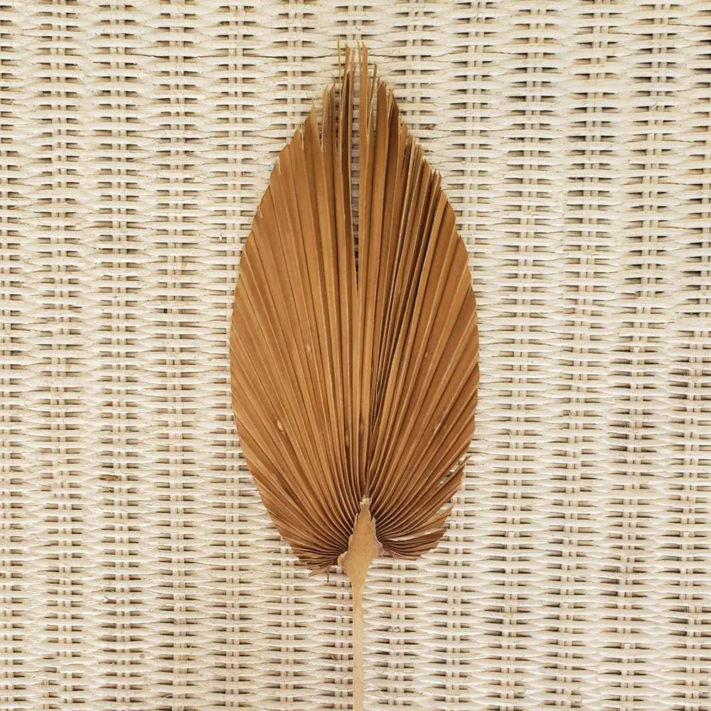 10stk Naturlige Tørrede Blomster Palm Leaf DIY Tørre Blomster Tørrede Blade Hjem bryllupsfest Soveværelse Dekoration Kunst vægtæppe 0