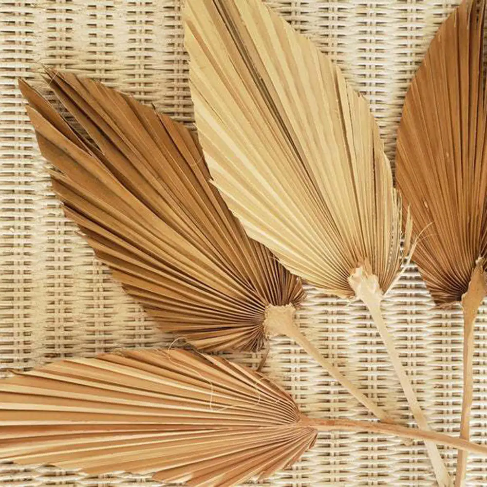 10stk Naturlige Tørrede Blomster Palm Leaf DIY Tørre Blomster Tørrede Blade Hjem bryllupsfest Soveværelse Dekoration Kunst vægtæppe 1