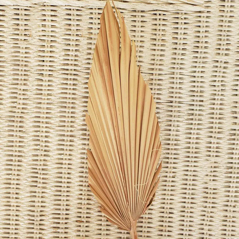 10stk Naturlige Tørrede Blomster Palm Leaf DIY Tørre Blomster Tørrede Blade Hjem bryllupsfest Soveværelse Dekoration Kunst vægtæppe 3